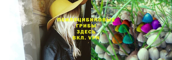 прущая мука Богородицк