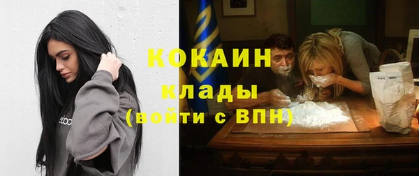 амф Богданович
