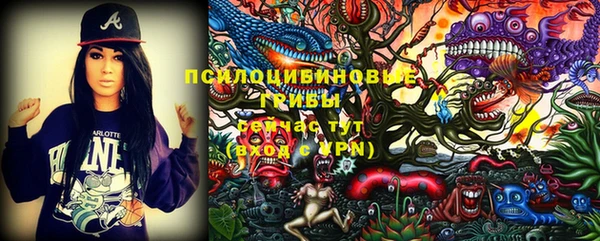 прущая мука Богородицк